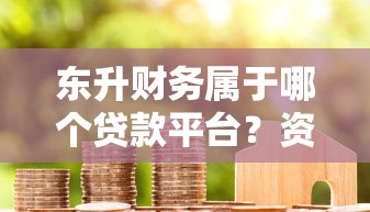 东升财务属于哪个贷款平台?资质与产品全解析 东升财务属于哪个贷款平台?资质与产品全解析