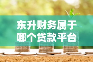 东升财务属于哪个贷款平台?资质与产品全解析 东升财务属于哪个贷款平台?资质与产品全解析