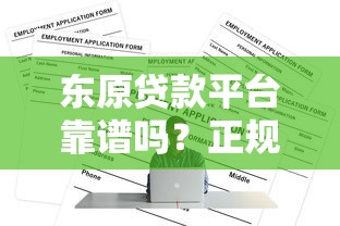 东原贷款平台靠谱吗？正规贷款产品及申请全攻略