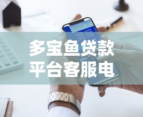 多宝鱼贷款平台客服电话查询及贷款服务指南