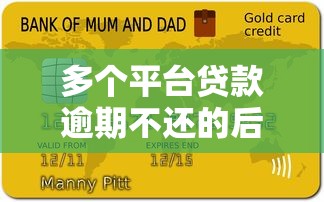 多个平台贷款逾期不还的后果与应对策略