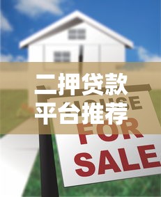 二押贷款平台推荐：房产二次抵押全流程解析