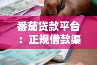 番茄贷款平台：正规借款渠道解析与申请指南