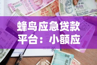 蜂鸟应急贷款平台:小额应急借款申请流程及注意事项 蜂鸟应急贷款平台:小额应急借款申请流程及注意事项