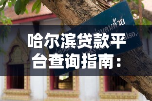 哈尔滨贷款平台查询指南：正规渠道与避坑技巧