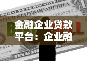 金融企业贷款平台：企业融资全攻略与避坑指南