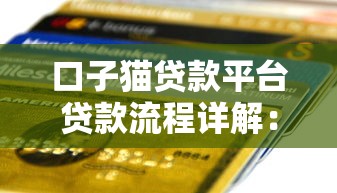 口子猫贷款平台贷款流程详解：快速放款到账指南