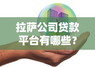 拉萨公司贷款平台有哪些？企业融资条件及流程详解