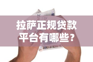 拉萨正规贷款平台有哪些？安全借贷指南