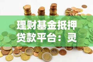 理财基金抵押贷款平台：灵活融资新选择