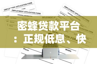 密蜂贷款平台：正规低息、快速放款的全流程解析