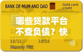 哪些贷款平台不查负债？快速下款的关键条件解析