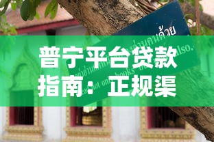 普宁平台贷款指南：正规渠道与避坑技巧