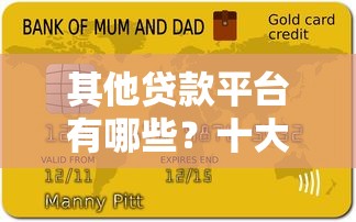 其他贷款平台有哪些？十大靠谱平台对比及申请攻略