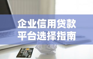 企业信用贷款平台选择指南：快速解决资金难题