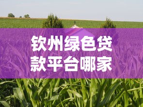 橘子贷款靠谱吗2025年最新实测：5分钟到账的秘密与避坑指南
