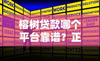 榕树贷款哪个平台靠谱？正规贷款产品申请攻略对比