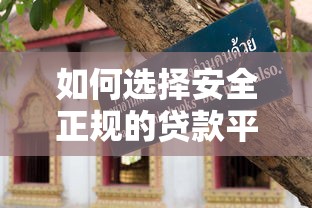 如何选择安全正规的贷款平台？避坑指南与实用技巧
