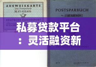 私募贷款平台：灵活融资新选择，风险与机遇并存