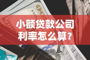 小额贷款公司利率怎么算？利息门道与避坑指南