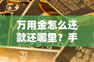 万用金怎么还款还哪里？手把手教你正确操作流程，还款渠道选择超全攻略！