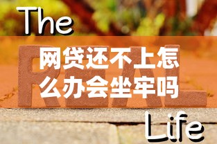 网贷还不上怎么办会坐牢吗？真实情况解析+自救方法