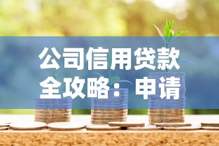 公司信用贷款全攻略：申请条件、流程解析与避坑指南