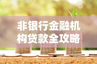 非银行金融机构贷款全攻略：这些渠道的优缺点你必须知道