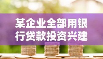 某企业全部用银行贷款投资兴建项目的利弊分析与实操指南