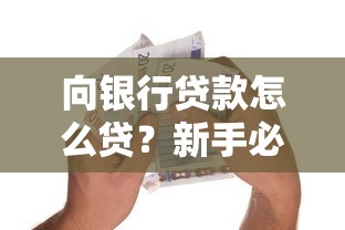 向银行贷款怎么贷？新手必看的流程指南与避坑技巧