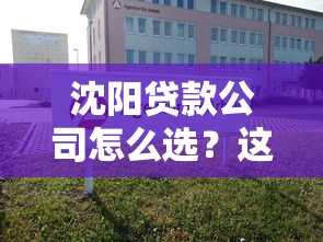 沈阳贷款公司怎么选？这份避坑指南助你找到正规机构
