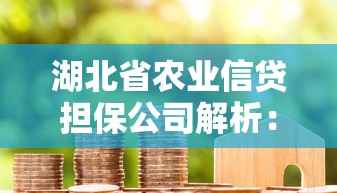 湖北省农业信贷担保公司解析：农业贷款政策与申请全攻略