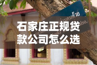 石家庄正规贷款公司怎么选？手把手教你避坑技巧