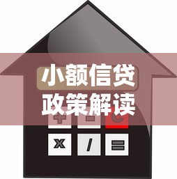 小额信贷政策解读：低门槛申请条件与灵活贷款方案解析