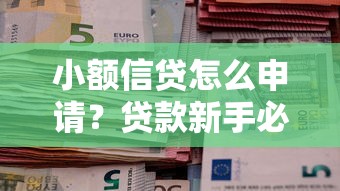 小额信贷怎么申请？贷款新手必看的5大注意事项与申请攻略！