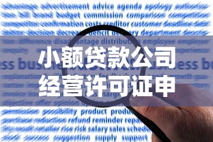 小额贷款公司经营许可证申请指南：合规运营与风险防范要点