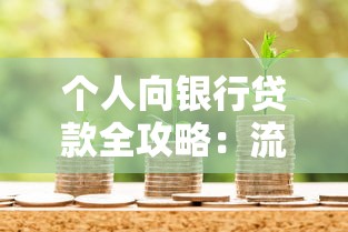 个人向银行贷款全攻略：流程、条件与利率政策解析