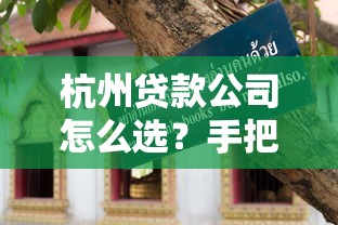 杭州贷款公司怎么选？手把手教你避坑指南