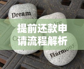 提前还款申请流程解析：需要多久才能完成？这些细节别忽略！