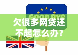 欠很多网贷还不起怎么办？过来人教你有效化解债务危机