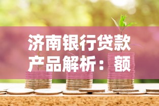 济南银行贷款产品解析：额度、利率、申请流程全攻略