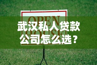 武汉私人贷款公司怎么选？私人借款避坑指南看这里
