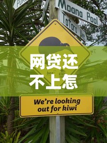 网贷还不上怎么办？正确处理方式助你避免债务危机