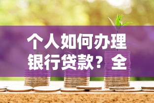 个人如何办理银行贷款？全流程指南+避坑技巧