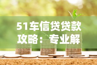 51车信贷贷款攻略：专业解析车辆抵押流程与低息方案推荐