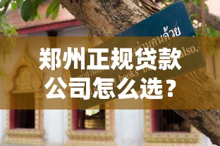 郑州正规贷款公司怎么选?手把手教你避坑指南 郑州正规贷款公司怎么选?手把手教你避坑指南