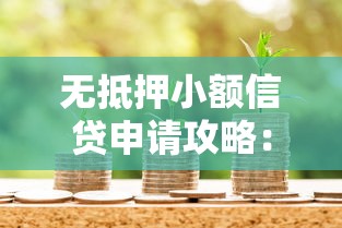 无抵押小额信贷申请攻略：快速到账的信用贷款指南