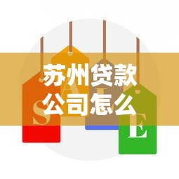 苏州贷款公司怎么选？正规低息贷款渠道全解析