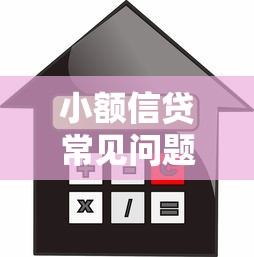 小额信贷常见问题解析：风险防范与贷款选择全攻略