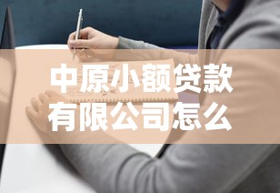 中原小额贷款有限公司怎么样？靠谱吗？小额贷款产品推荐指南